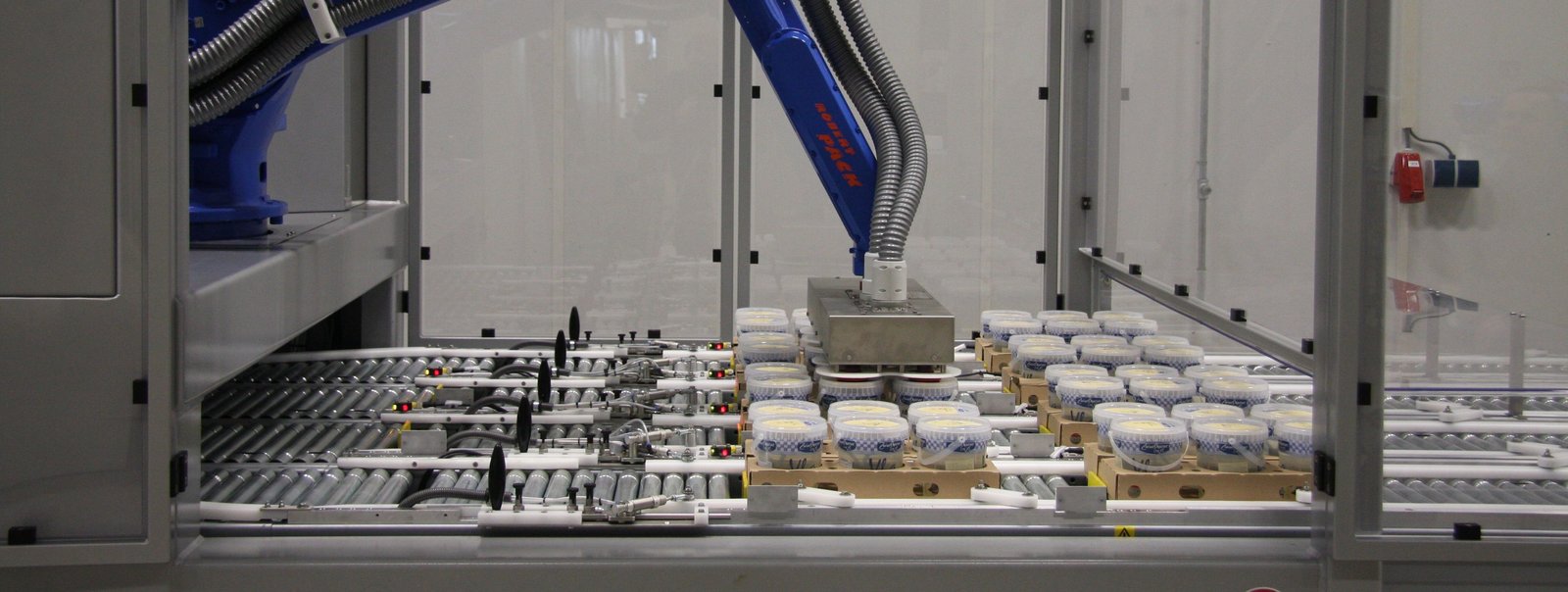 Robertpack-mix-robot-for-case-packing-buckets-with-yoghurt-Zuivelhoeve
