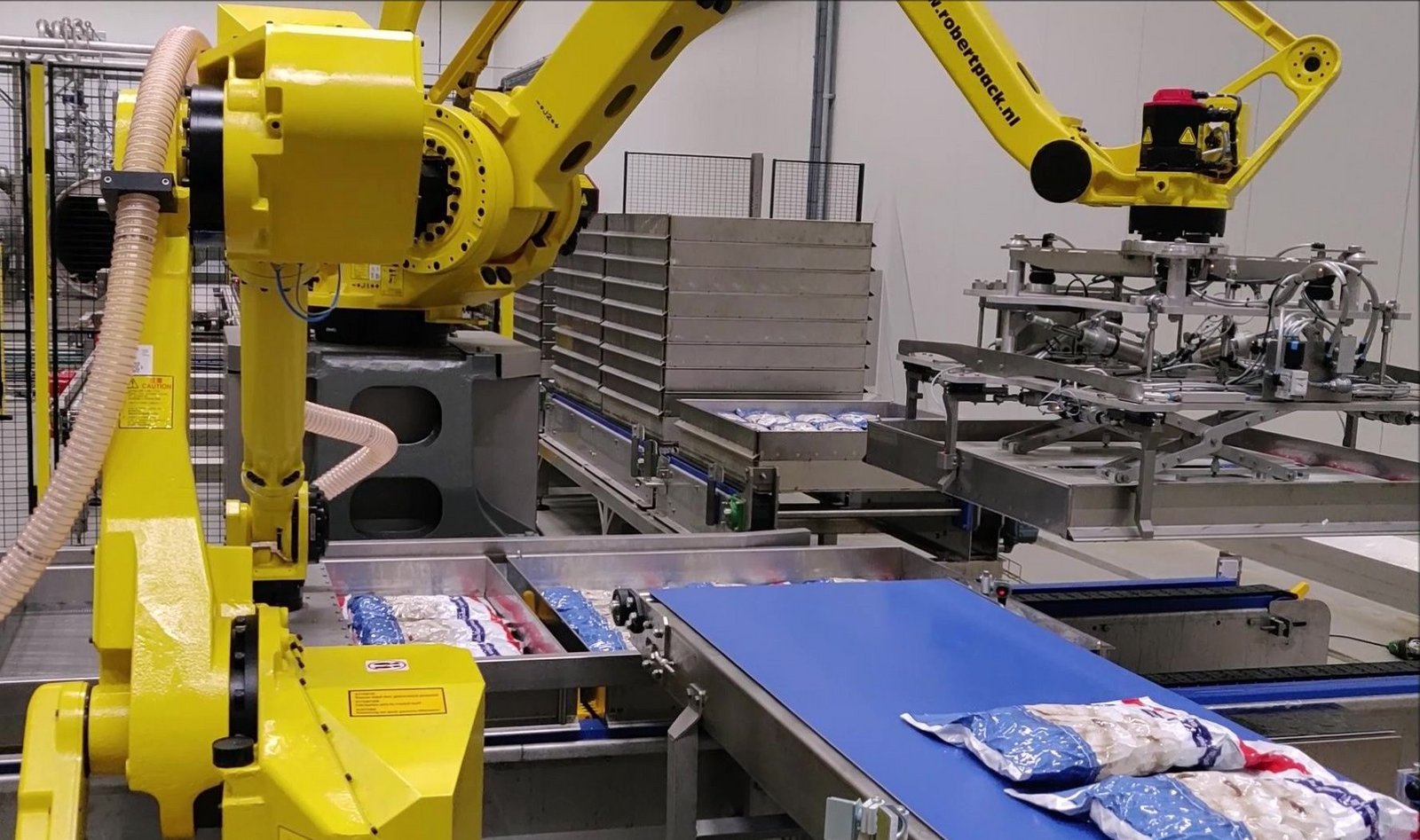  fanuc-handling-robot-for-the-mushroom-industry-supplied-by-robertpack-Zwolle