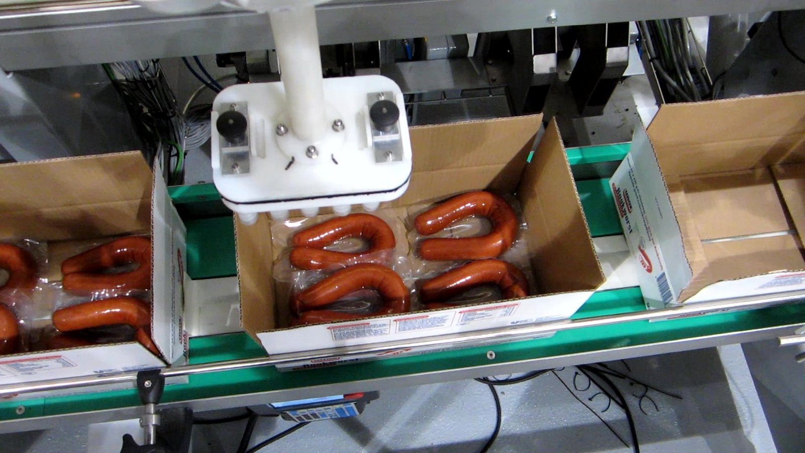 Robot-case-packer-for-packing-smoked- sausages-in-a-box