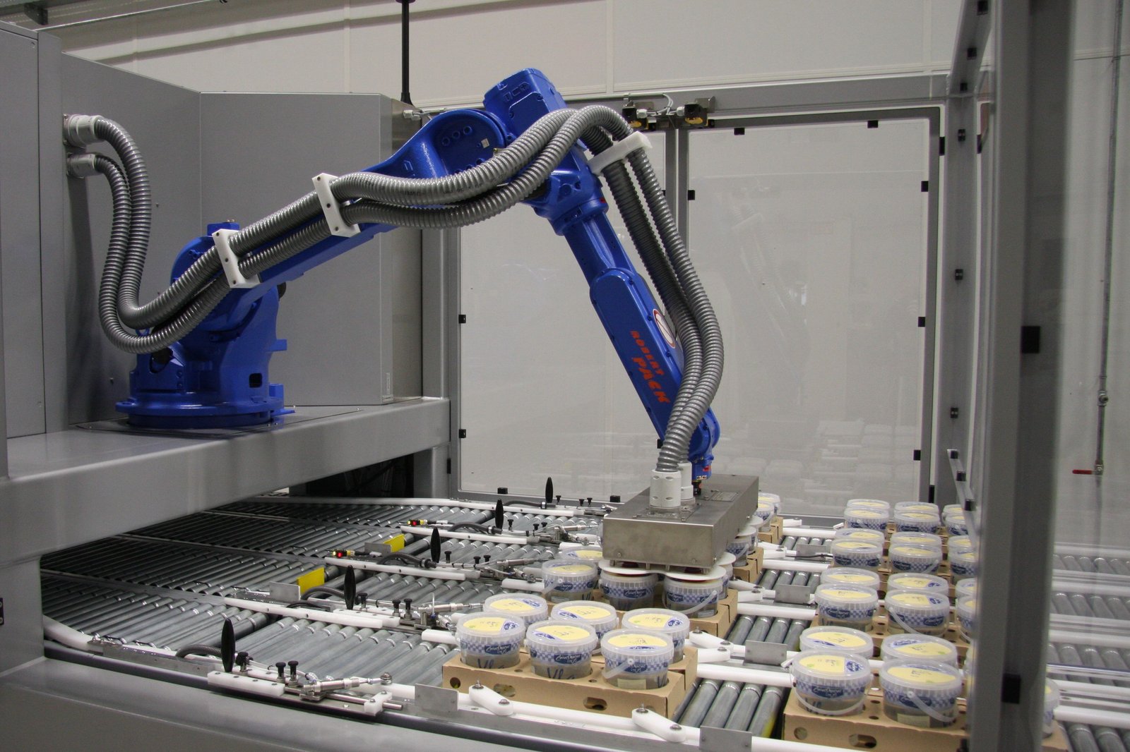 Robertpack-mix-robot-for-case-packing-buckets-with-yoghurt-Zuivelhoeve