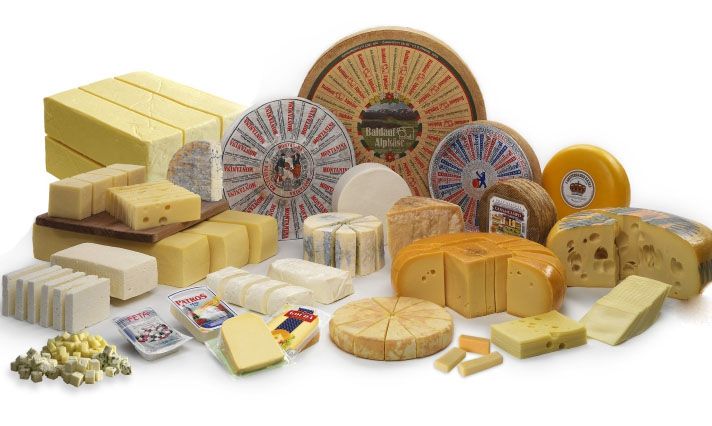 alpma-is-world-leader-since-1947-in-specialised-machines-for-the-cheese-producing-and-cheese-processing-industry